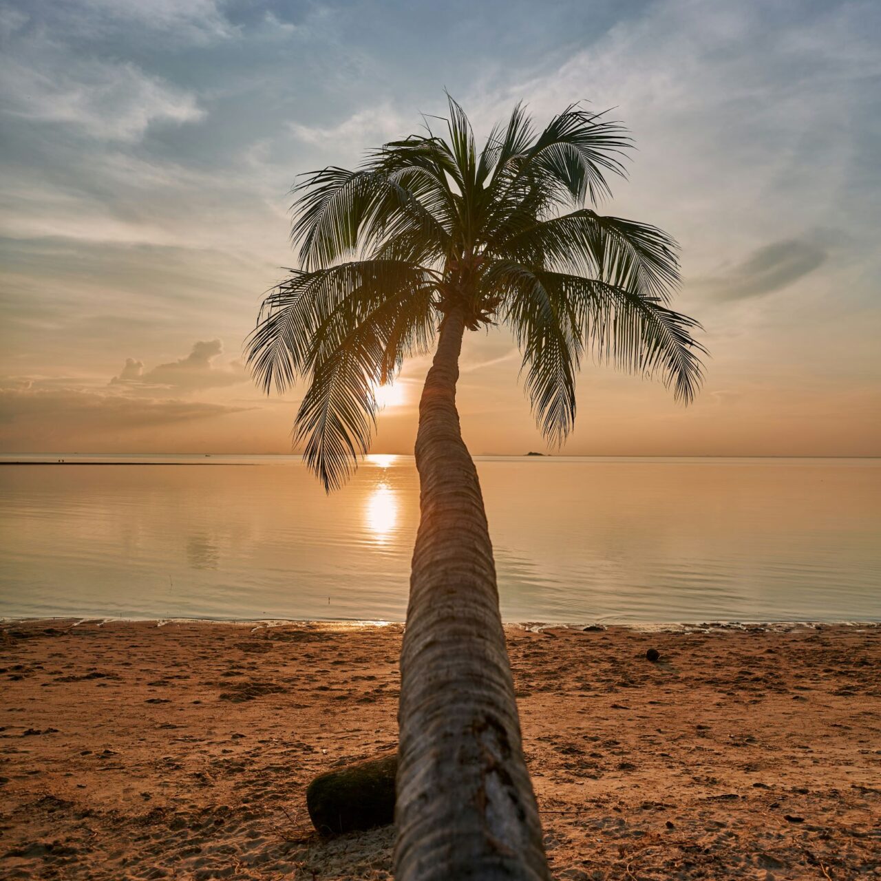 Koh Phangan 1